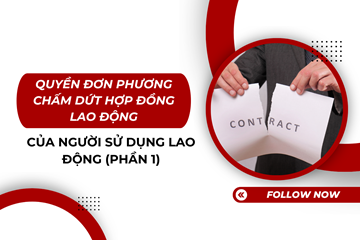 Phần 1 - Quyền đơn phương chấm dứt hợp đồng lao động của người sử dụng lao động 